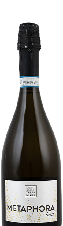 Terra Dives a Petrosino (Trapani) - linea cru