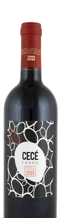 Terra Dives a Petrosino (Trapani) - linea td