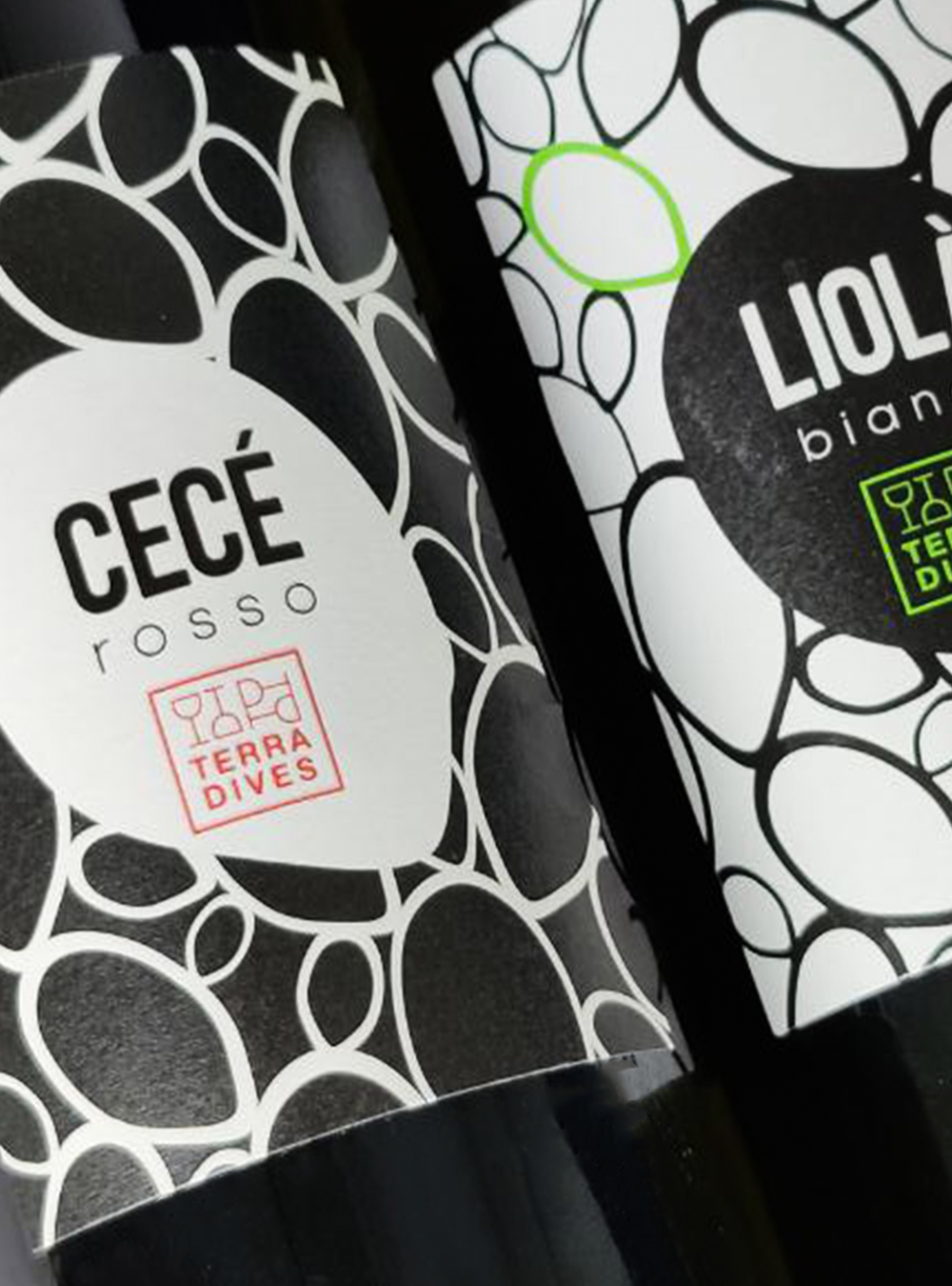 Terra Dives a Petrosino (Trapani) - linea td