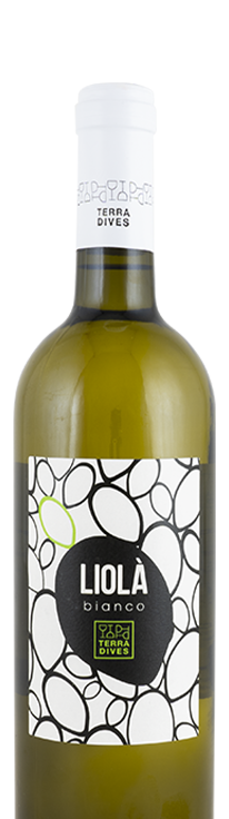 Terra Dives a Petrosino (Trapani) - linea td